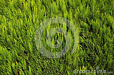 Dreamstime Ð¤Ð¾Ñ‚Ð¾ Ð ÐµÐ´Ð°ÐºÑ†. Ð¸Ð»Ð»ÑŽÑÑ‚Ñ€Ð°Ñ†Ð¸Ð¸ Ð’Ð¸Ð´ÐµÐ¾ ÐÑƒÐ´Ð¸Ð¾ Ð‘ÐµÑÐ¿Ð»Ð°Ñ‚Ð½Ñ‹Ðµ Ñ„Ð¾Ñ‚Ð¾ Ð—Ð¾Ð½Ð° ÑƒÐ¿Ñ€Ð°Ð²Ð» Stock Photo